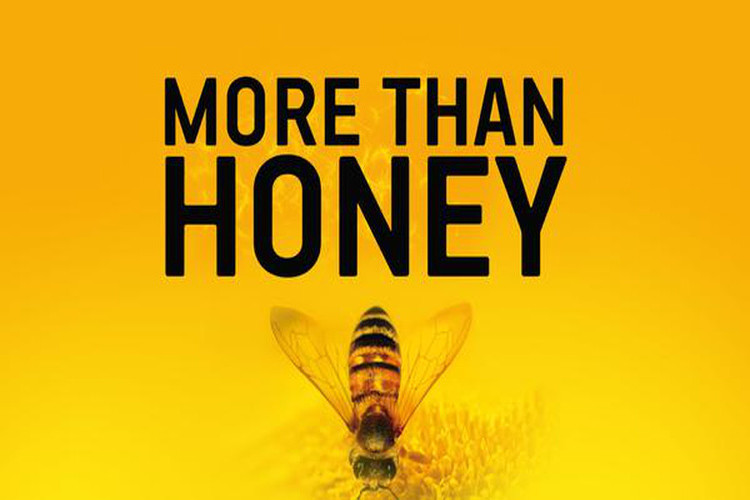 Dokuabend: "More than Honey"